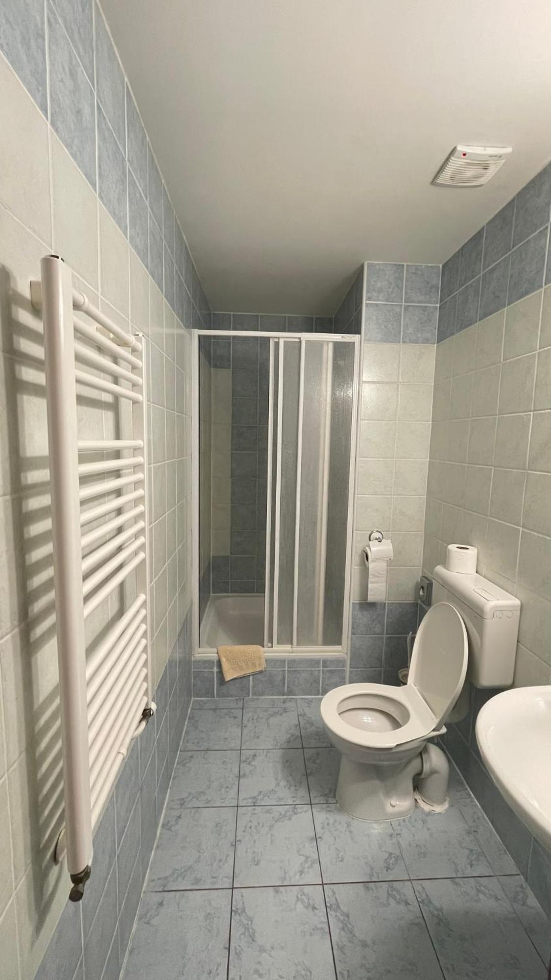 Hotel Cerny Orel Zatec المظهر الخارجي الصورة